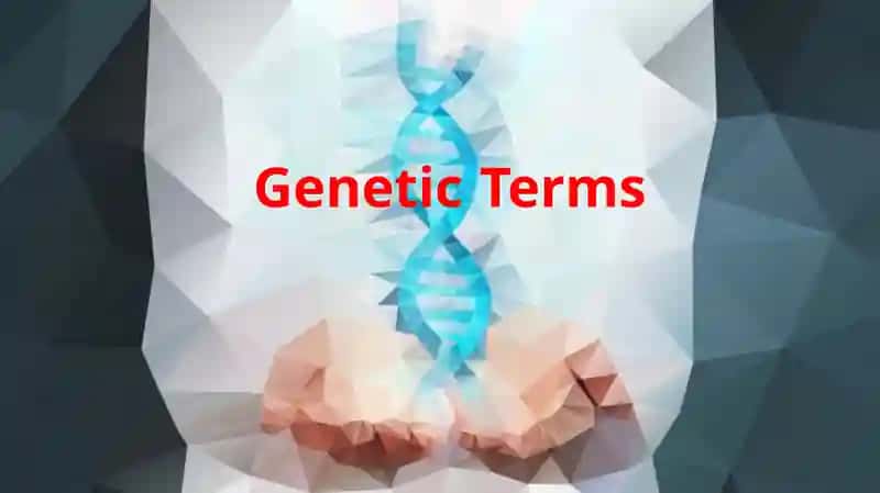 GeneticTerms