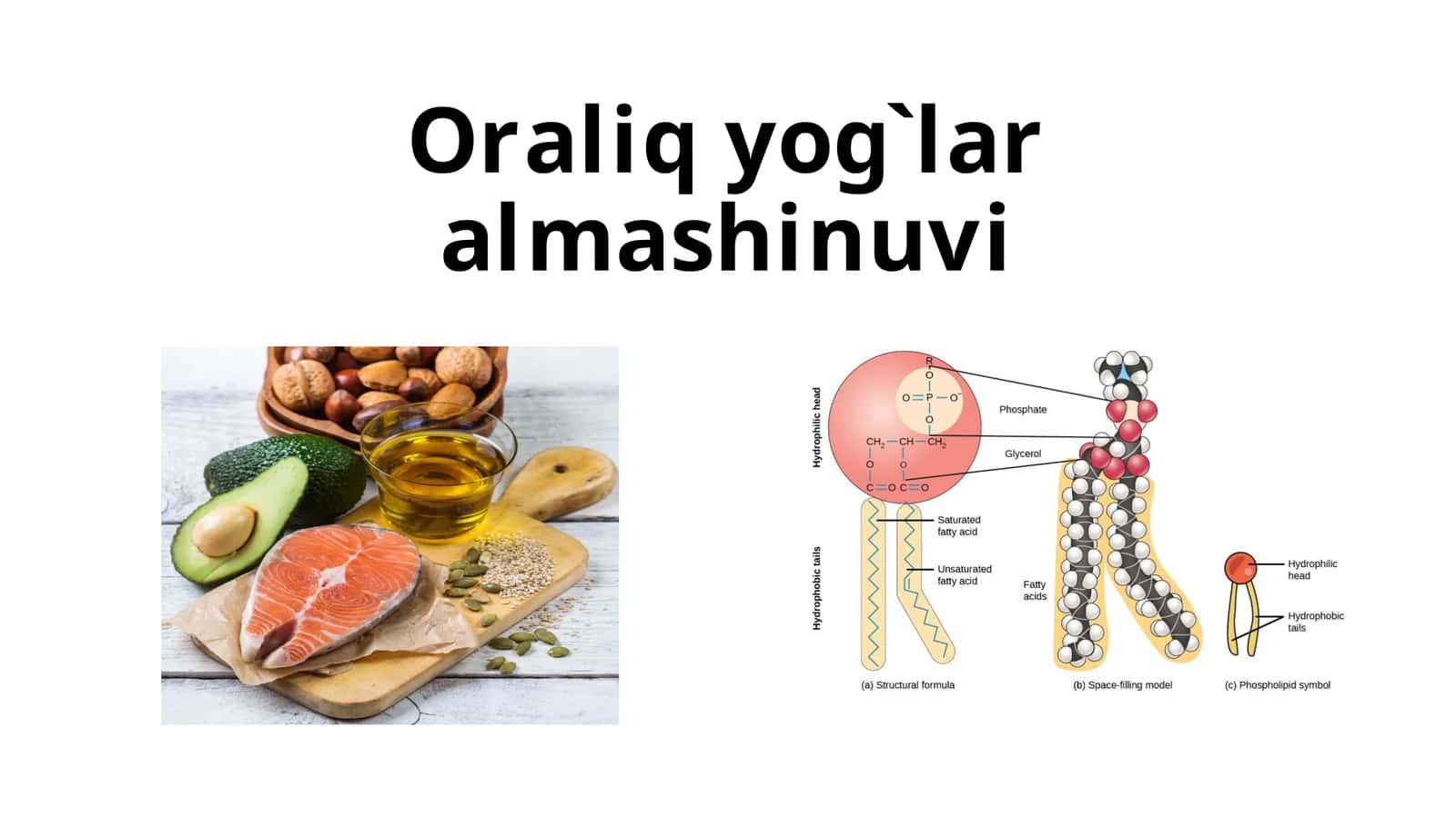 Oraliq yog'larning almashinuvi 1