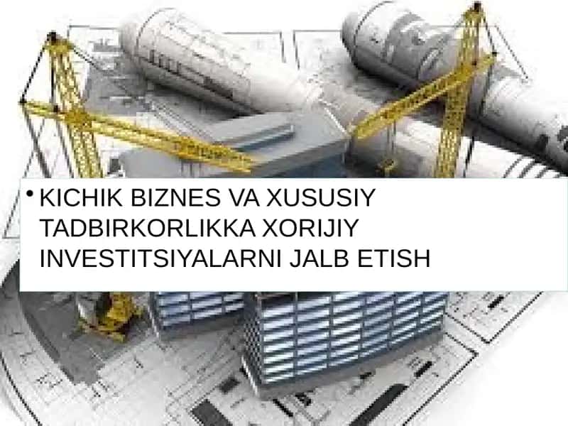 Kichik biznes va xususiy tadbirkorlikka xorijiy investitsiyalarni jalb etish 1
