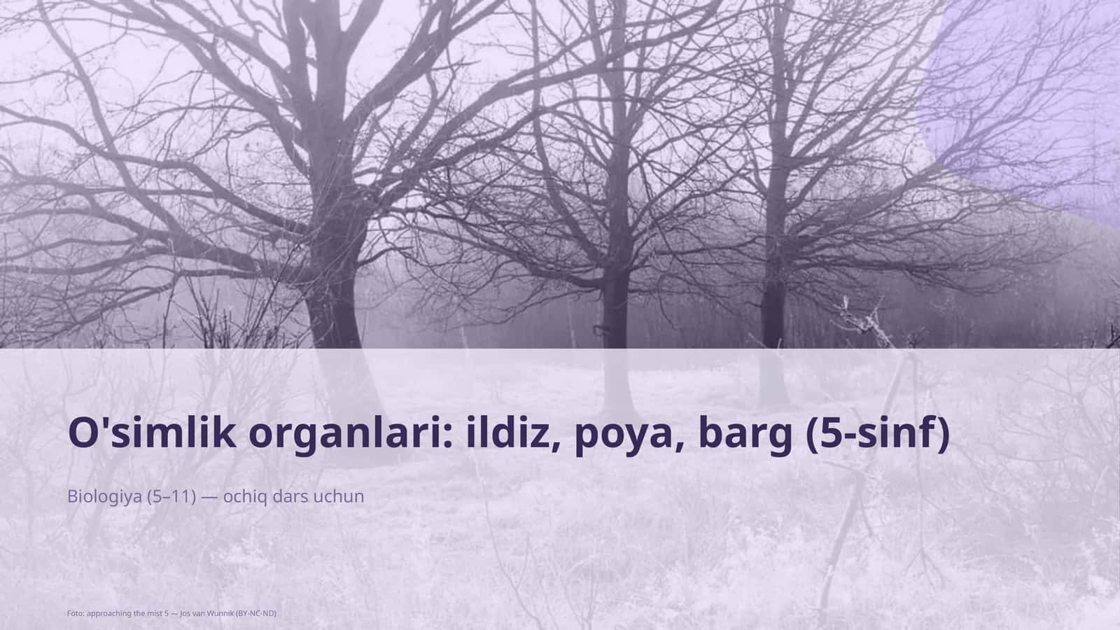 O'simlik organlari: ildiz, poya, barg (5-sinf) 1