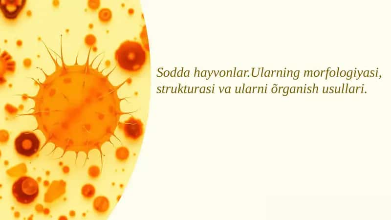 Mikrobiologiya 1