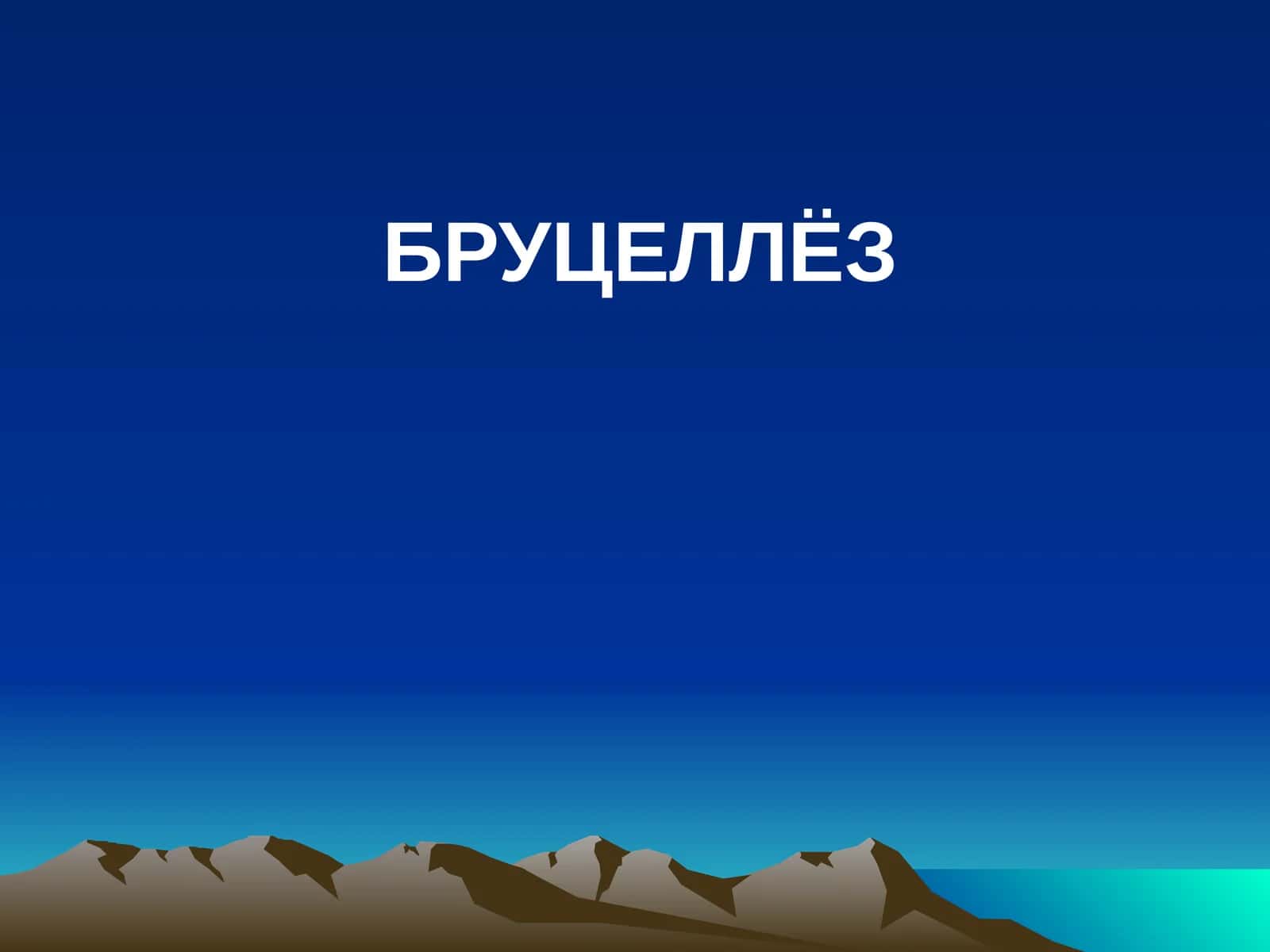 БРУЦЕЛЛЁЗ 1
