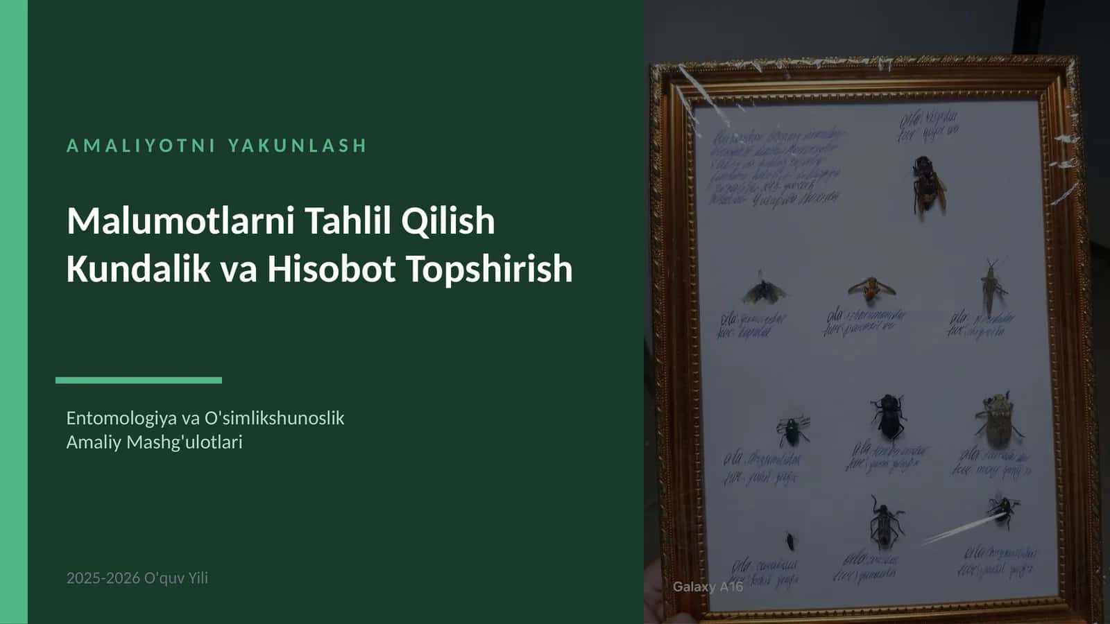 AMALIYOTNI YAKUNLASH 1