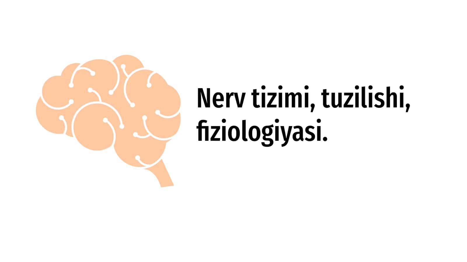Nerv tizimi, tuzilishi, fiziologiyasi 1