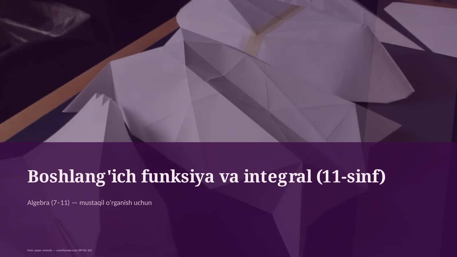 Boshlang'ich funksiya va integral (11-sinf) 1