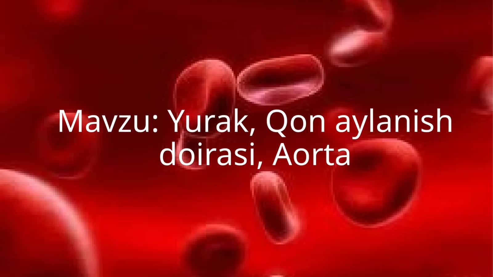 Yurak, Qon aylanish doirasi, Aorta 1