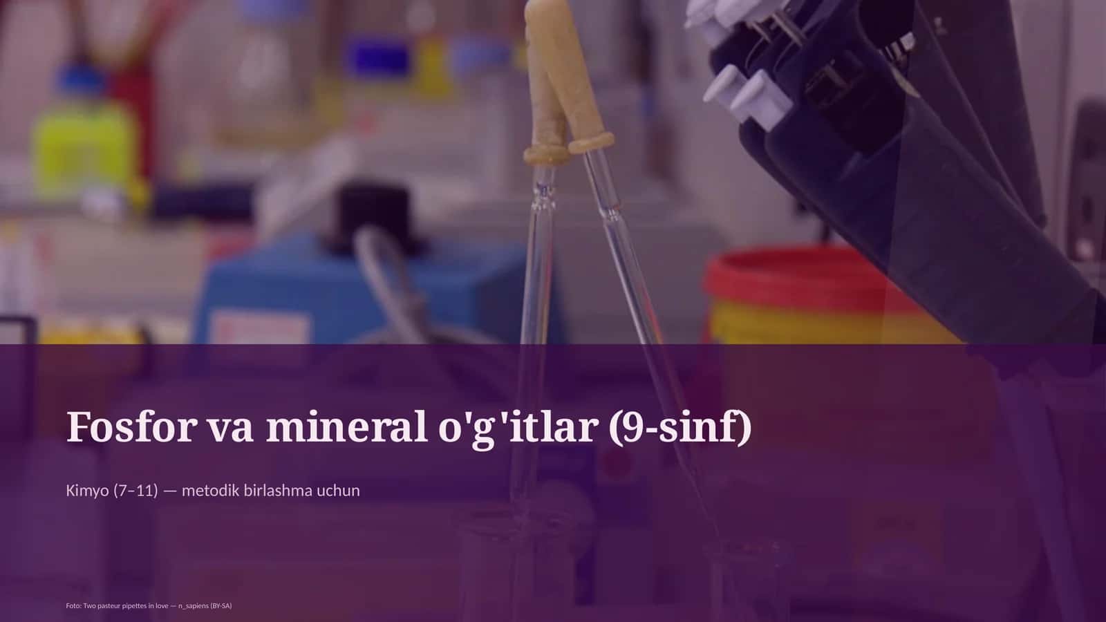 Fosfor va mineral o'g'itlar (9-sinf) 1