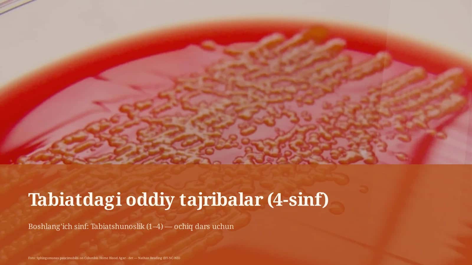 Tabiatdagi oddiy tajribalar (4-sinf) 1
