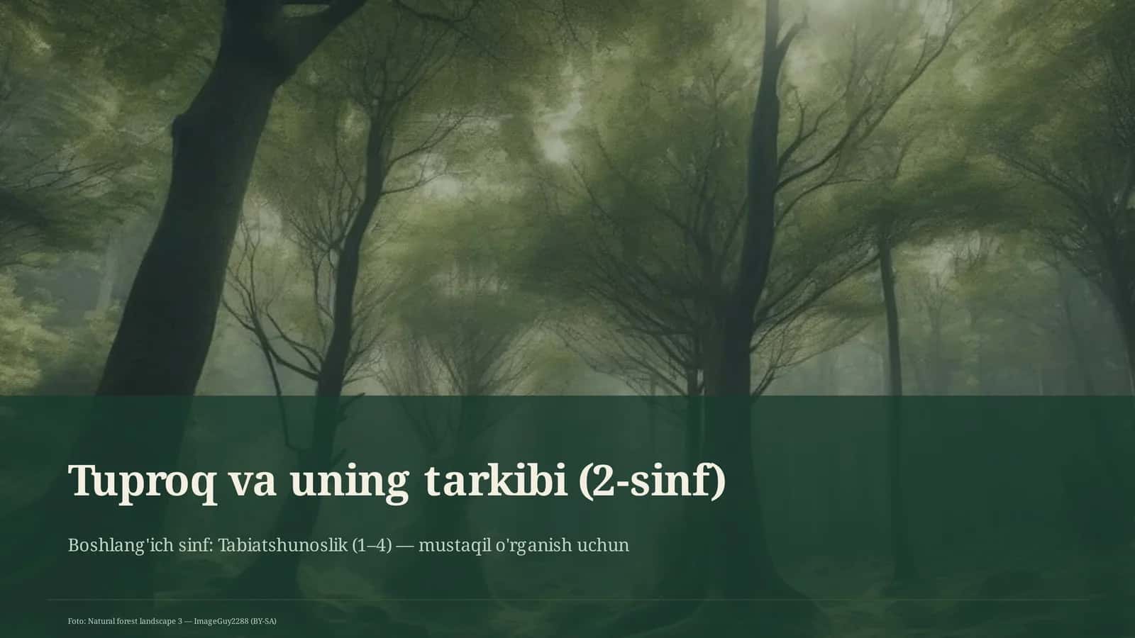 Tuproq va uning tarkibi (2-sinf) 1