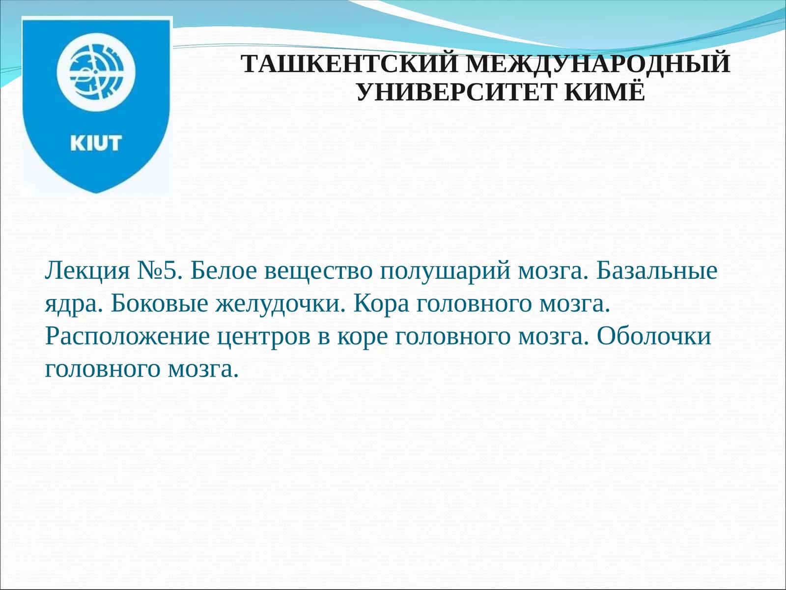 Основные отделы, форма и топография конечного мозга 1