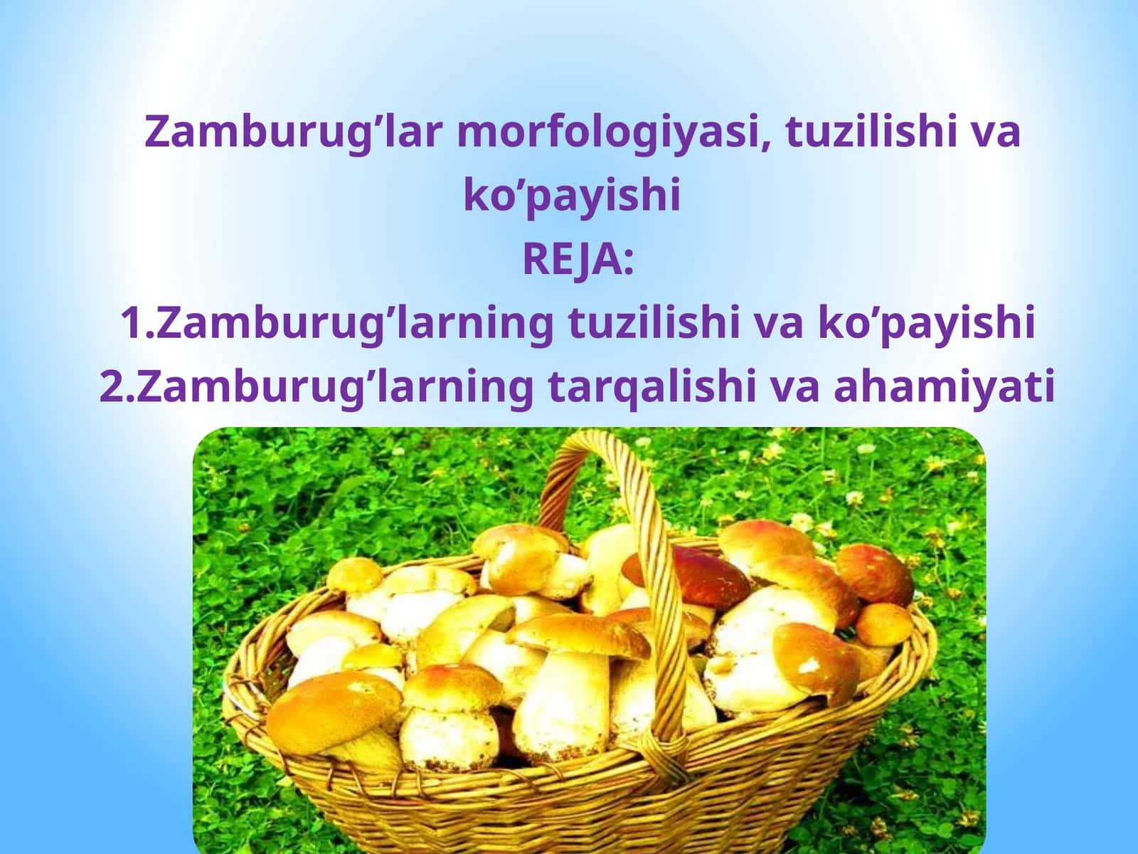 Zamburug’lar morfologiyasi, tuzilishi va ko’payishi 1