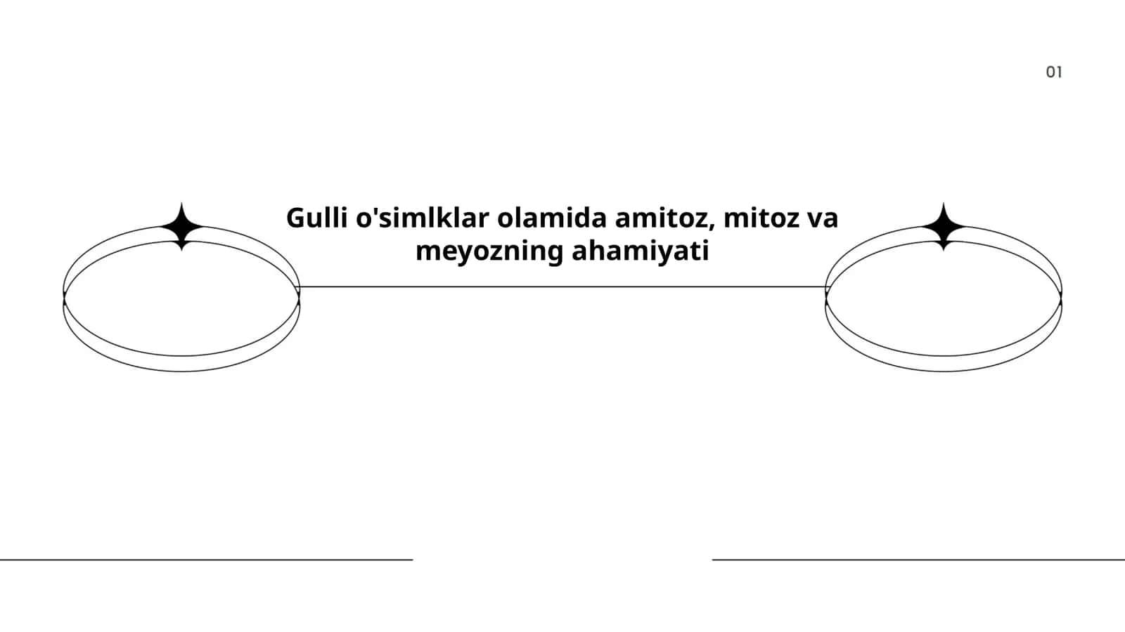 Amitoz, Mitoz va Meyoz Jarayoni 1