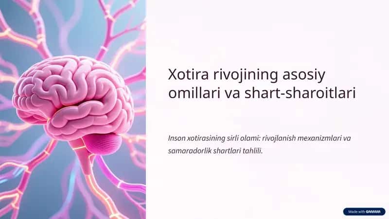 Xotira rivojining asosiy omillari va shart-sharoitlari 1