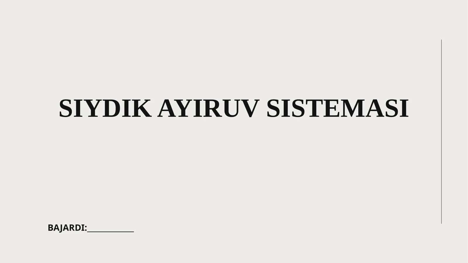 Siydik ayiruv sistemasi 1