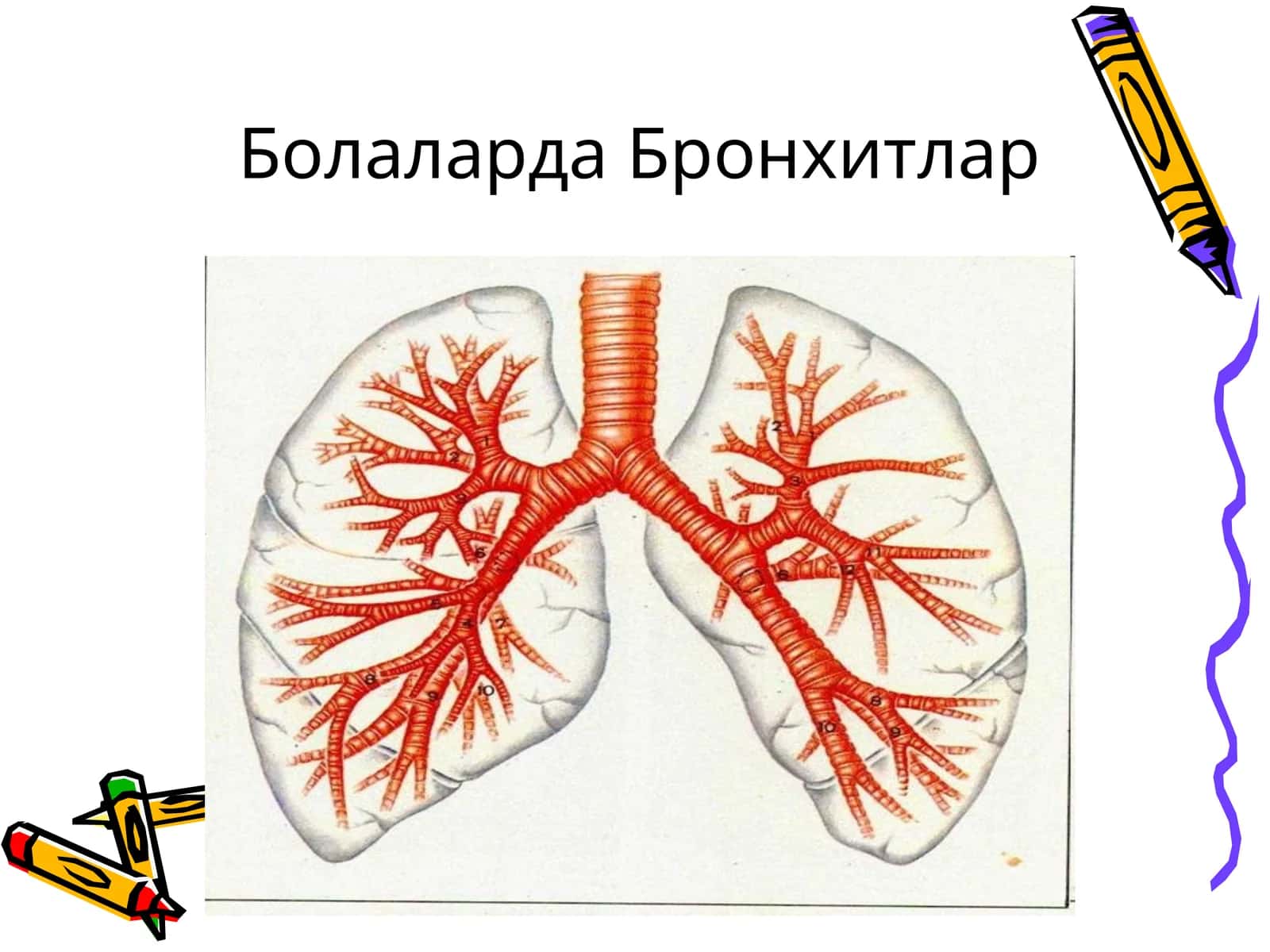 Болаларда Бронхитлар 1