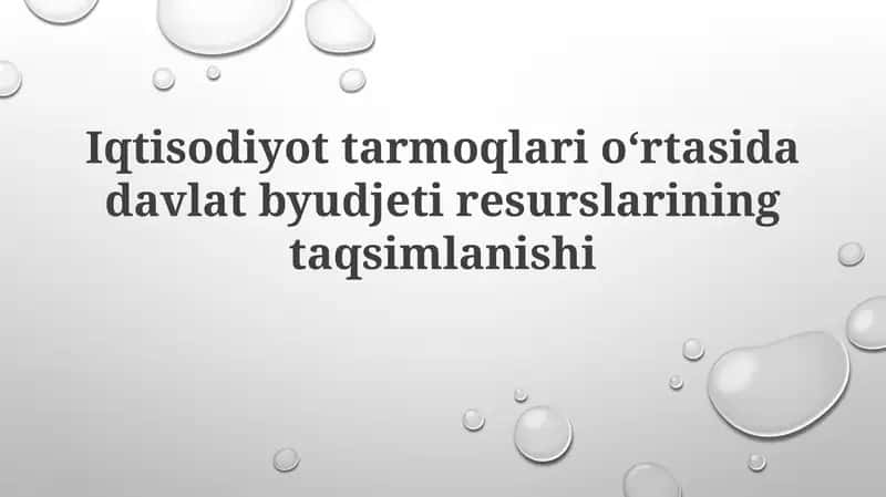 Iqtisodiyottarmoqlarioʻrtasida davlat byudjeti resurslarining taqsimlanishi 1
