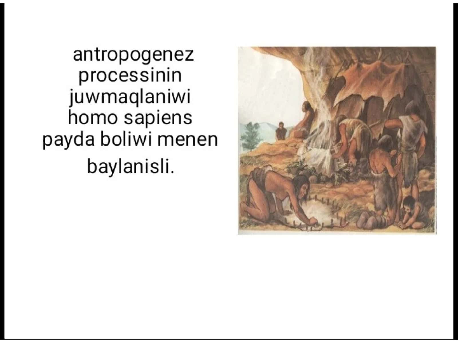 Homo sapiens sapiens evolyutsiyasi 1
