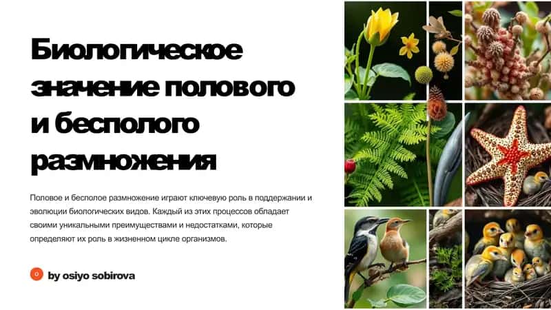 Биологическое значение полового и бесполого размножения 1