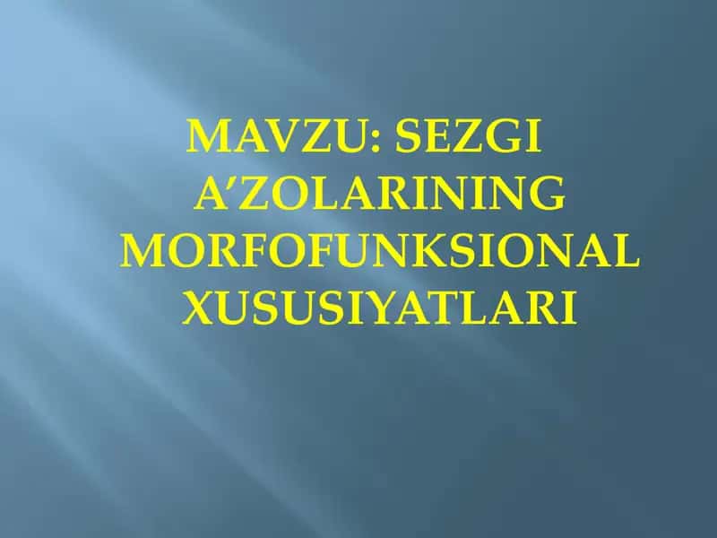 SEZGI A’ZOLARINING MORFOFUNKSIONAL XUSUSIYATLARI 1