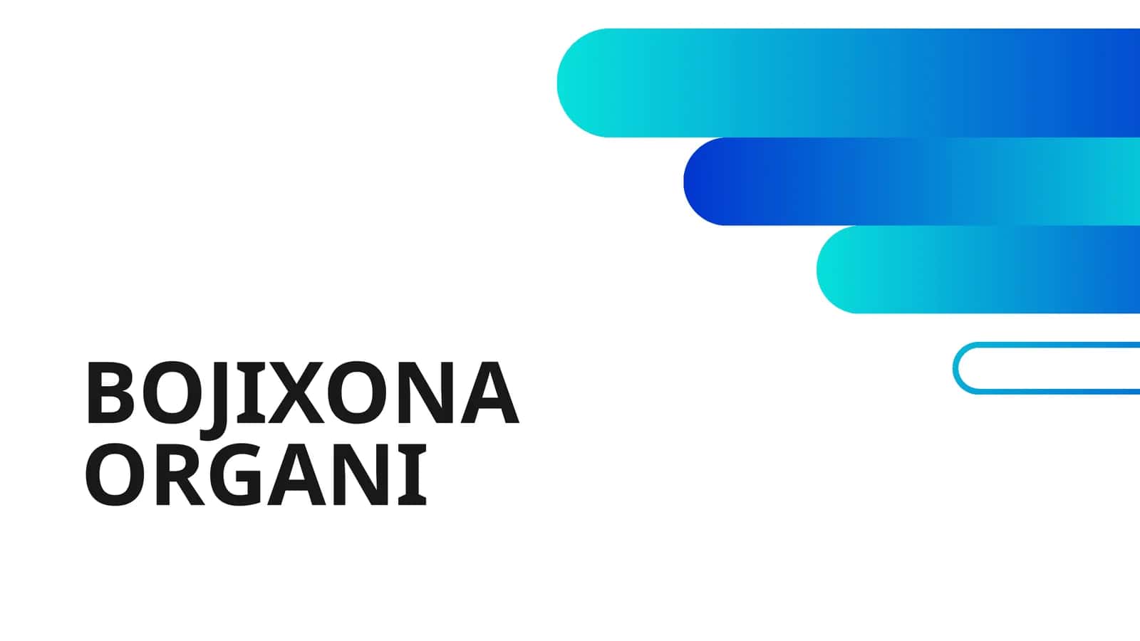 BOJIXONA ORGANI 1