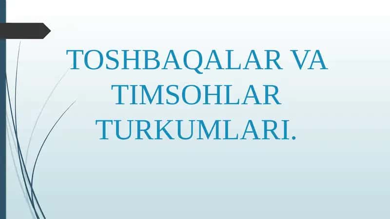 TOSHBAQALAR VA TIMSOHLAR TURKUMLARI 1