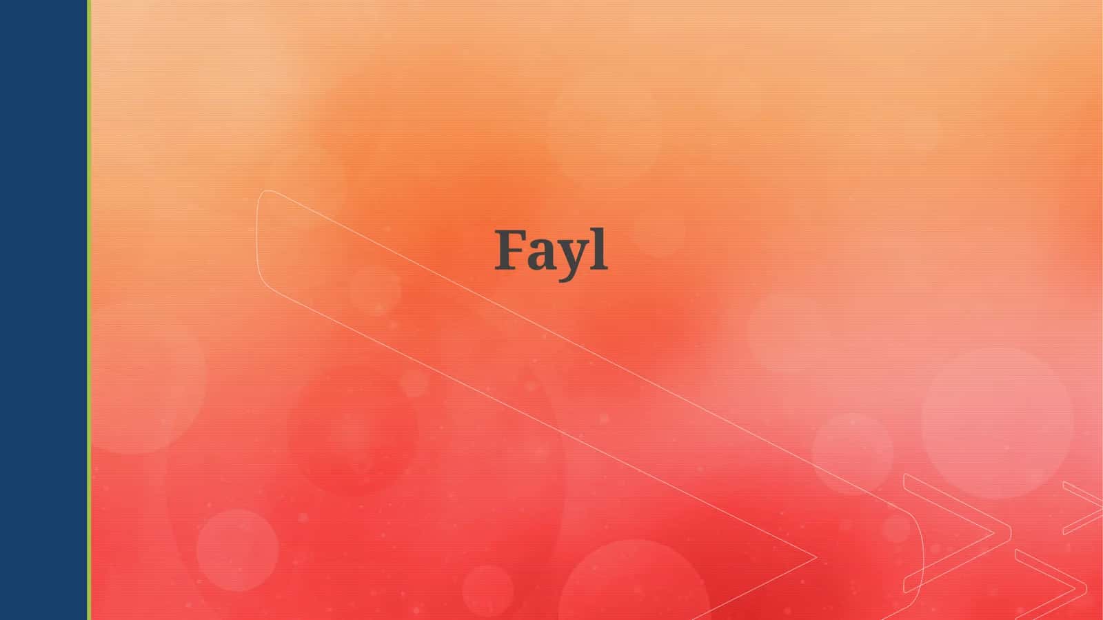 Fayl turlari 1