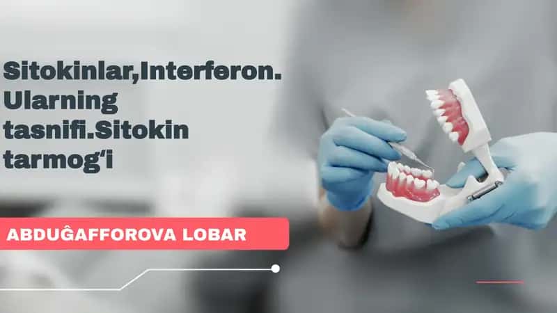 Sitokinlar,Interferon.Ularning tasnifi.Sitokin tarmogʻi 1