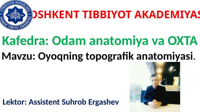 Oyoqning Topografik Anatomiyasi 1