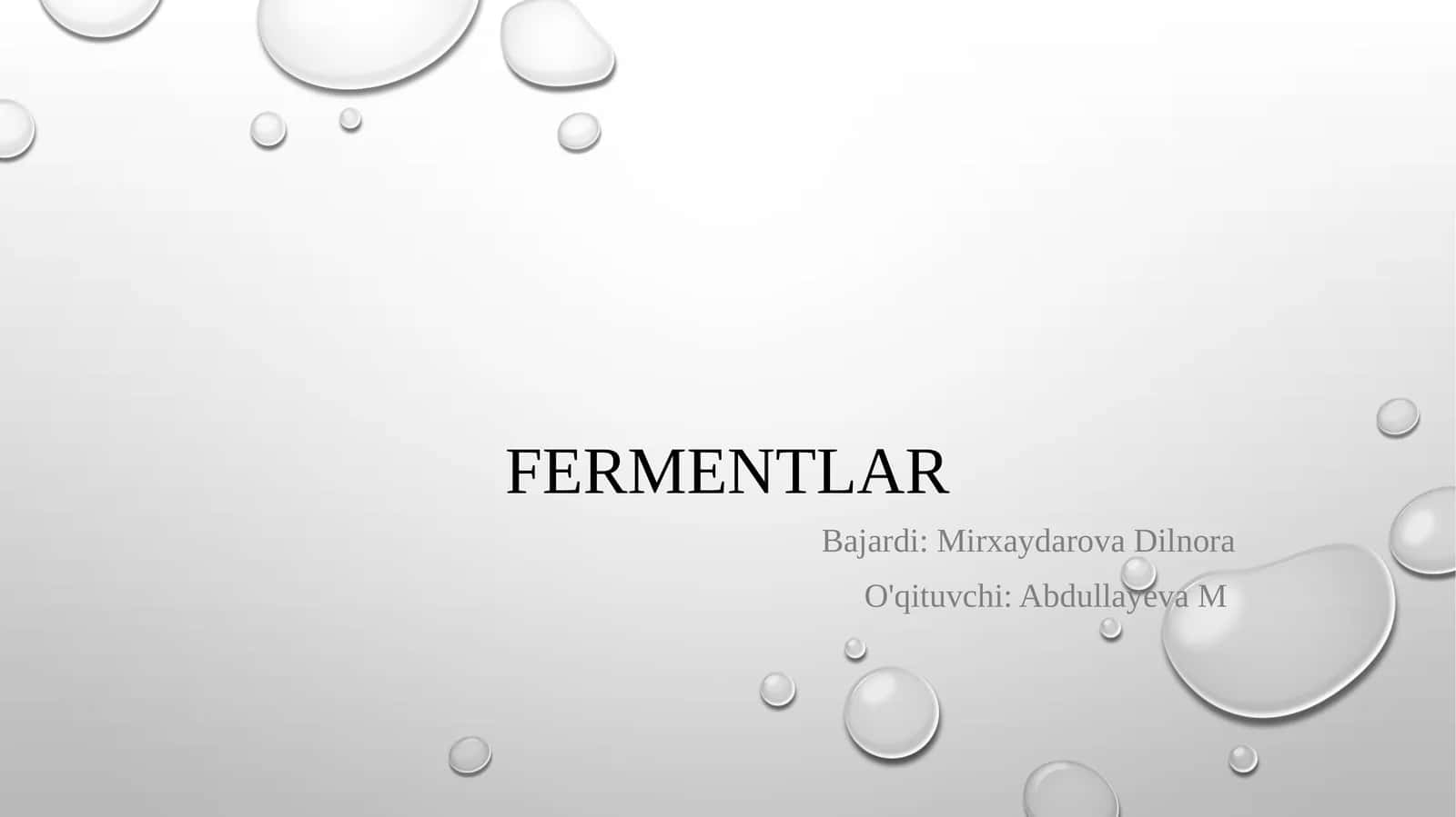 Fermentlar 1