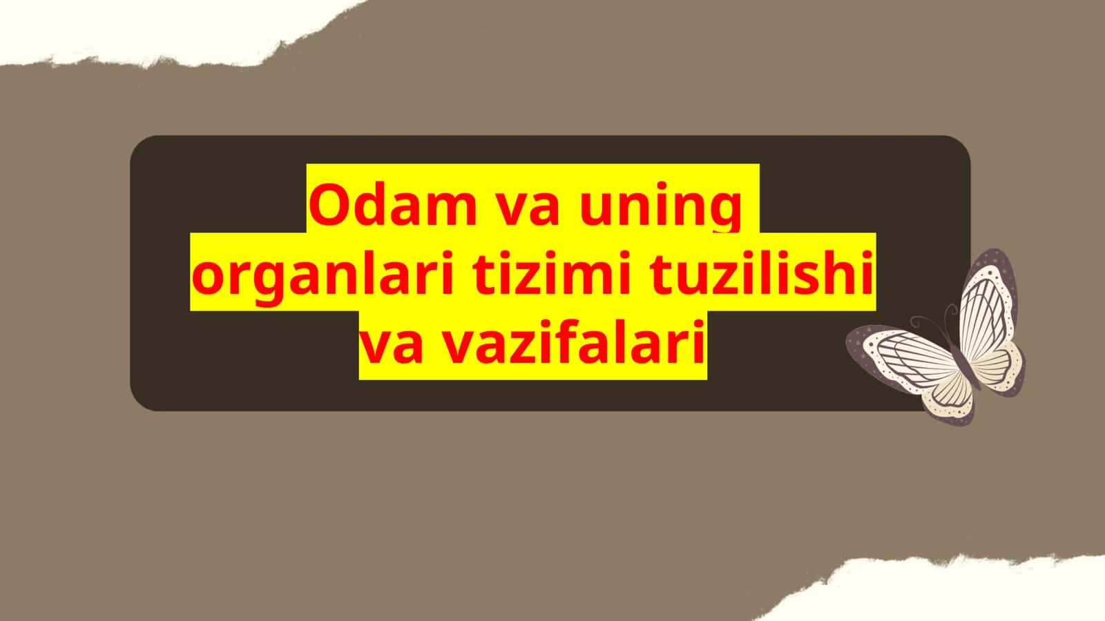 Odam va uning  organlari tizimi tuzilishi va vazifalari 1