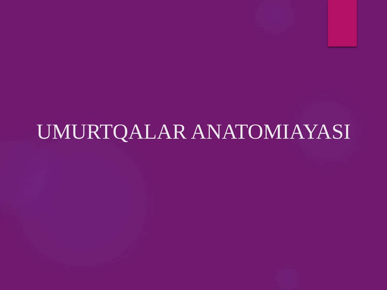 UMURTQALAR ANATOMIYASI PREZENTATSIYA 1