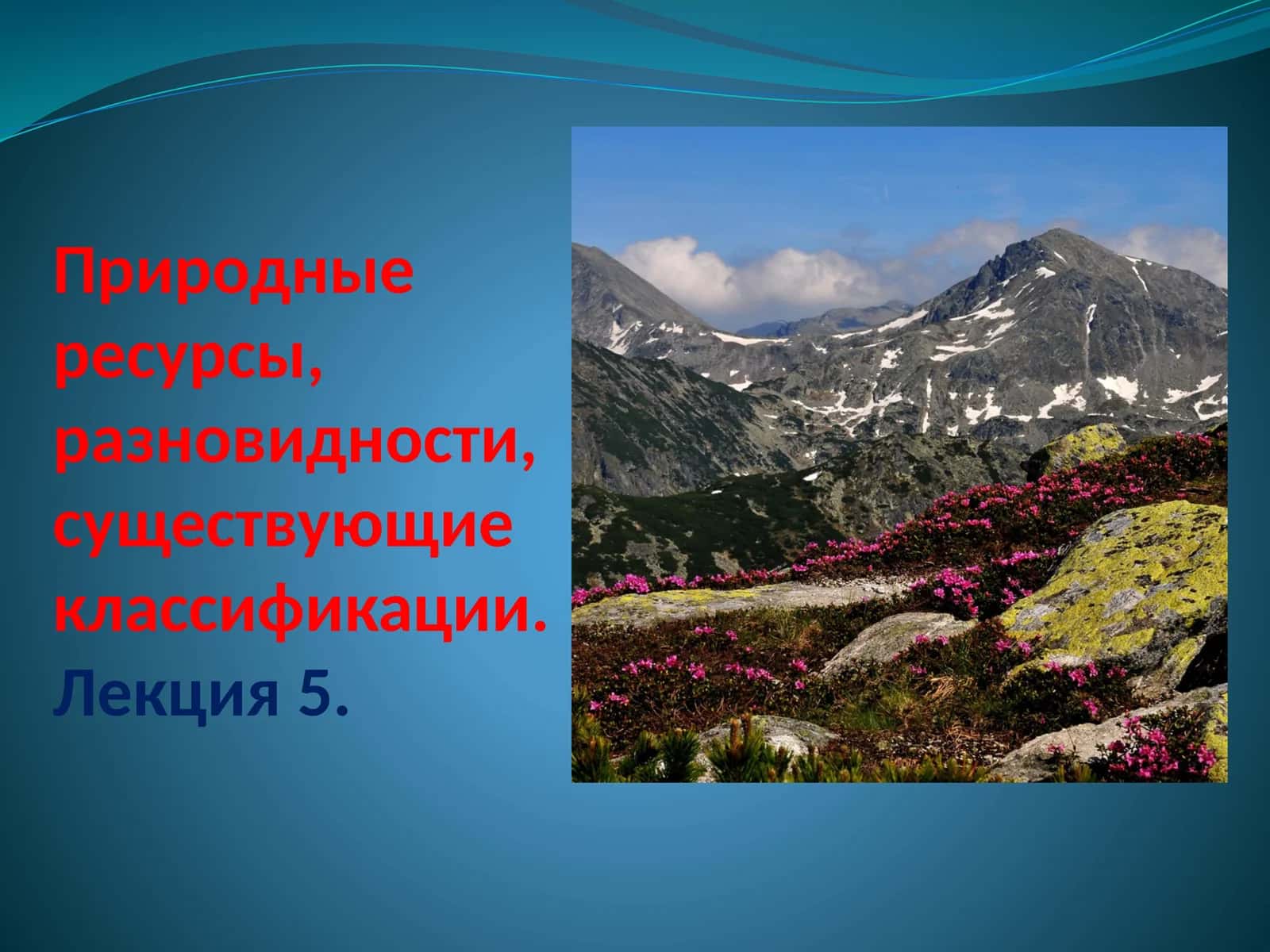 Природные ресурсы, разновидности, существующие классификации 1