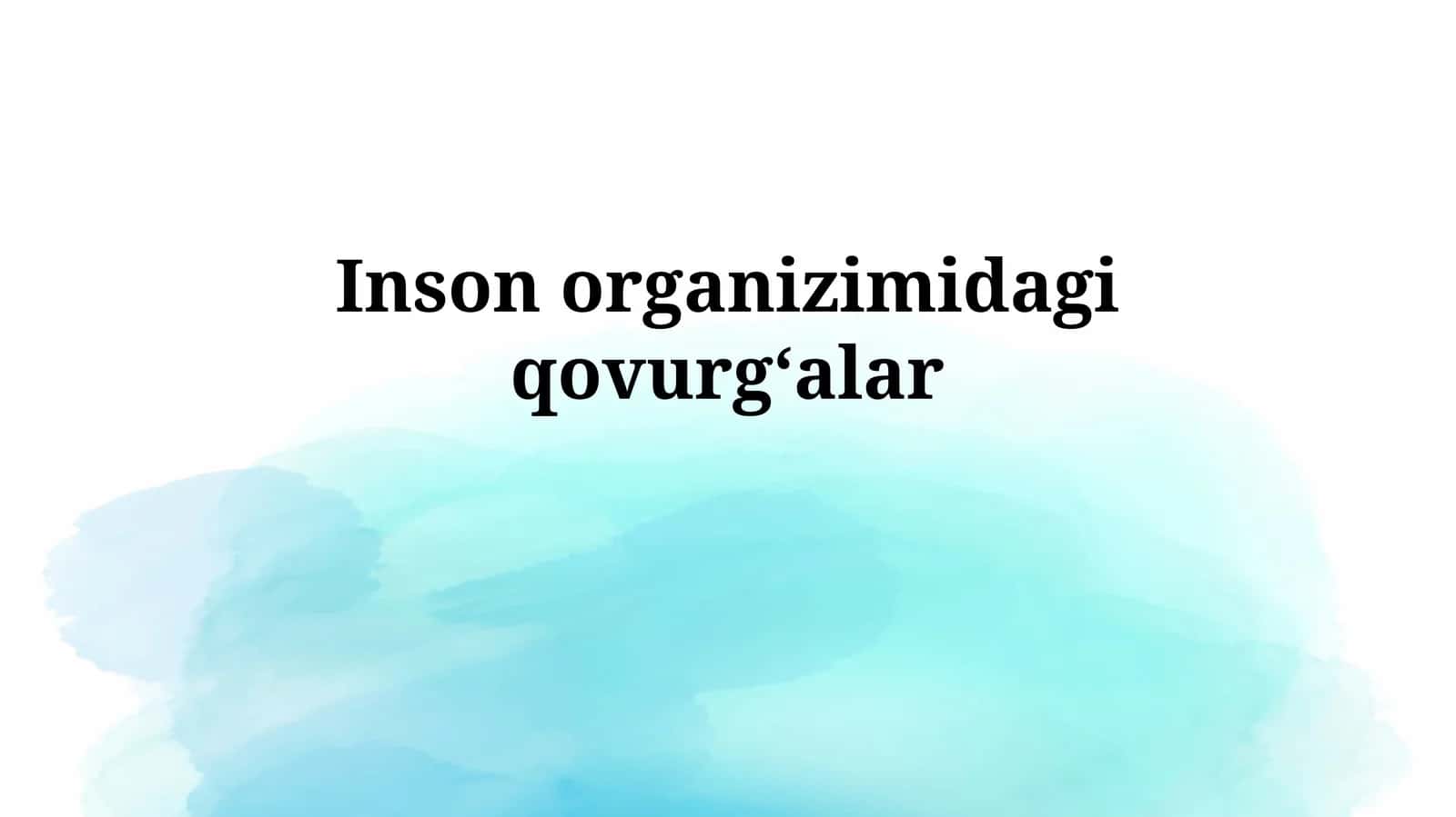 Inson organizmidagi qovurg'alar 1