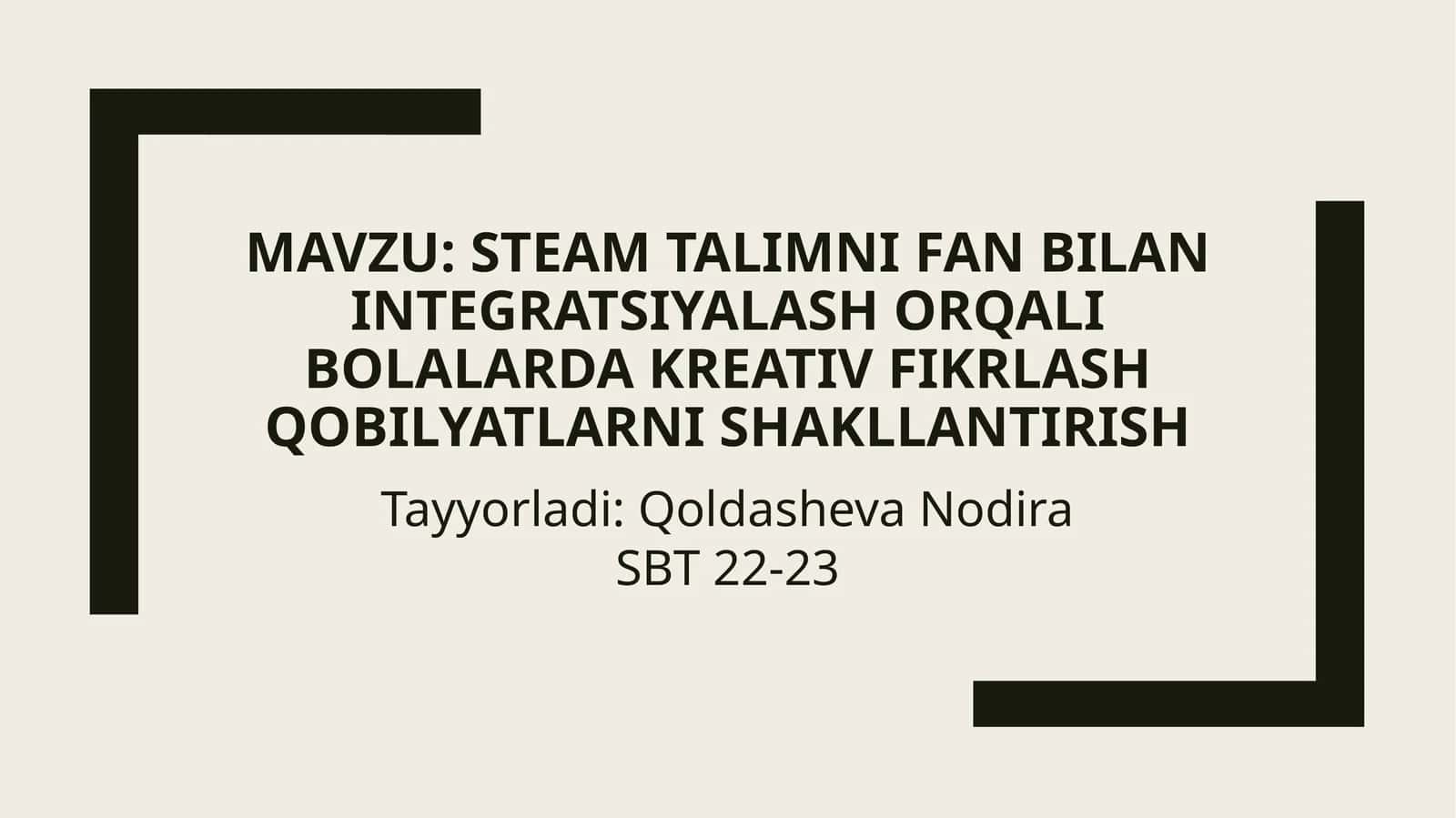 STEAM tilimi 1