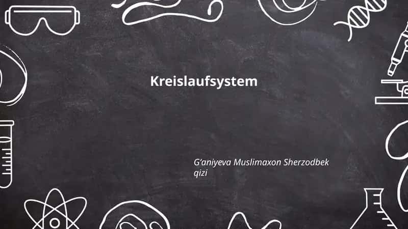 Kreislaufsystem 1