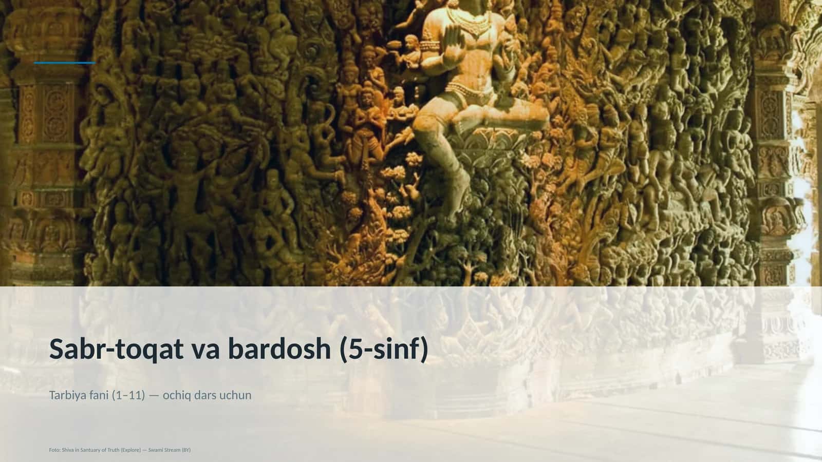 Sabr-toqat va bardosh (5-sinf) 1