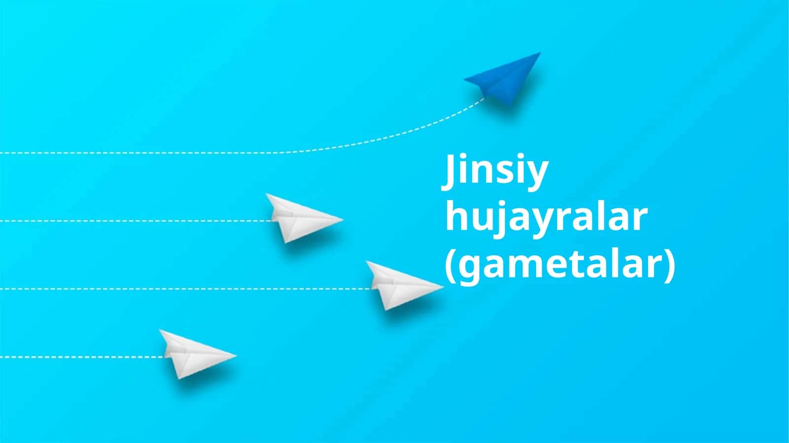 Jinsiy hujayralar (gametalar) 1