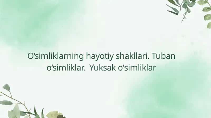 oʻsimliklar 1