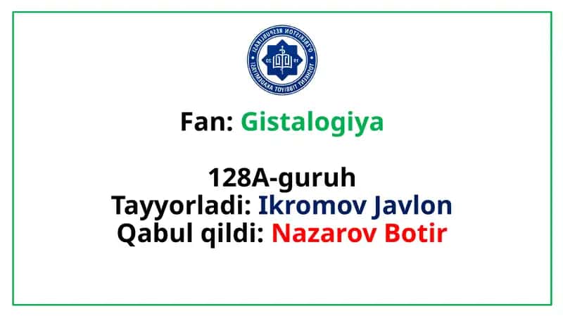 Limfa gistalogiyasi 1