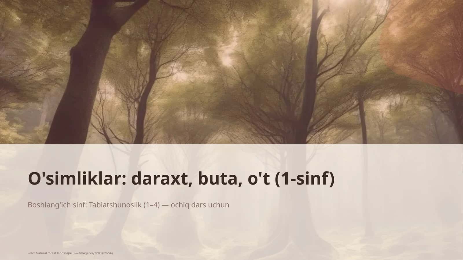 Daraxt, buta, o't mavzusi 1