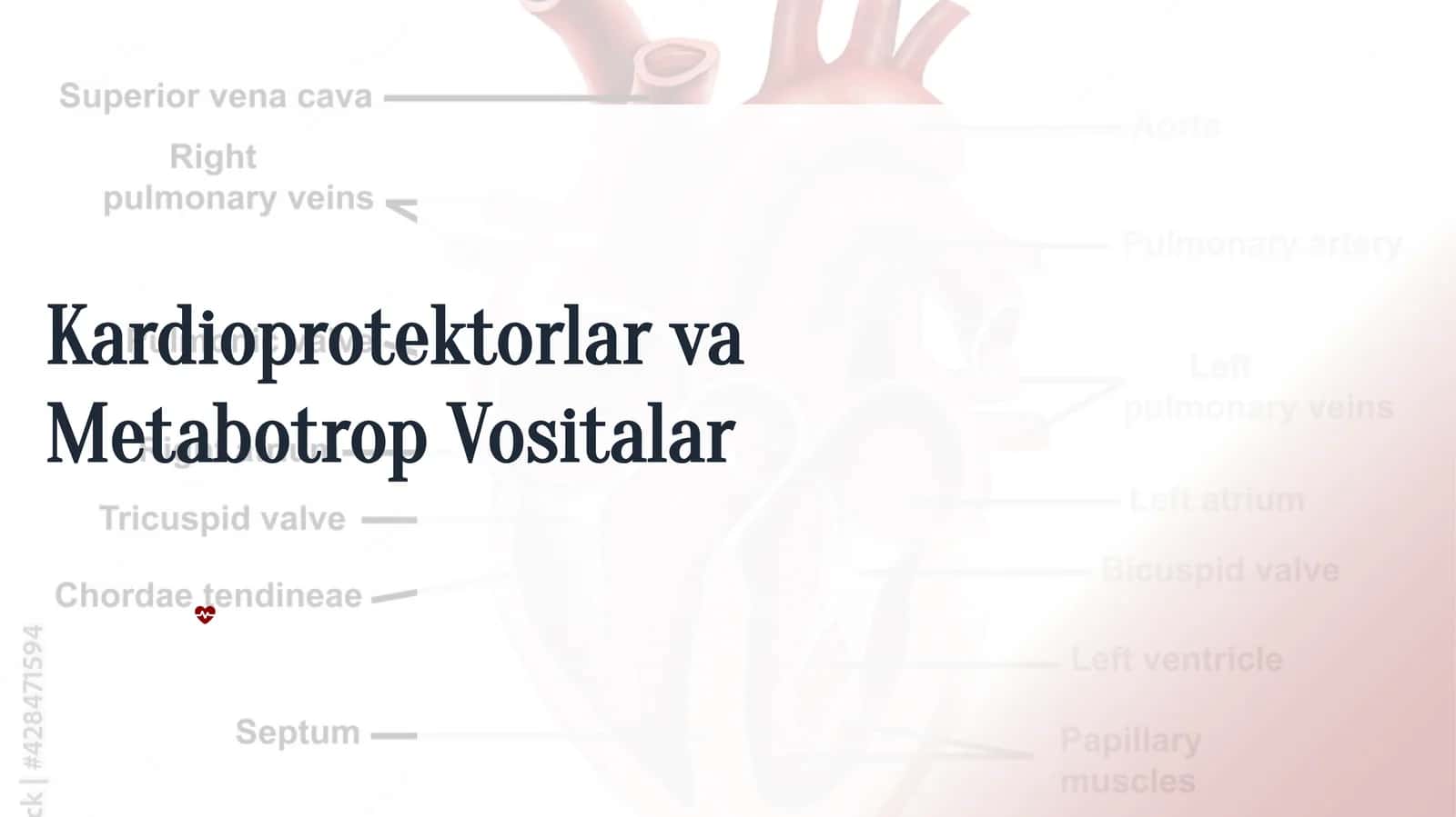 Metabotrop Vositalar 1