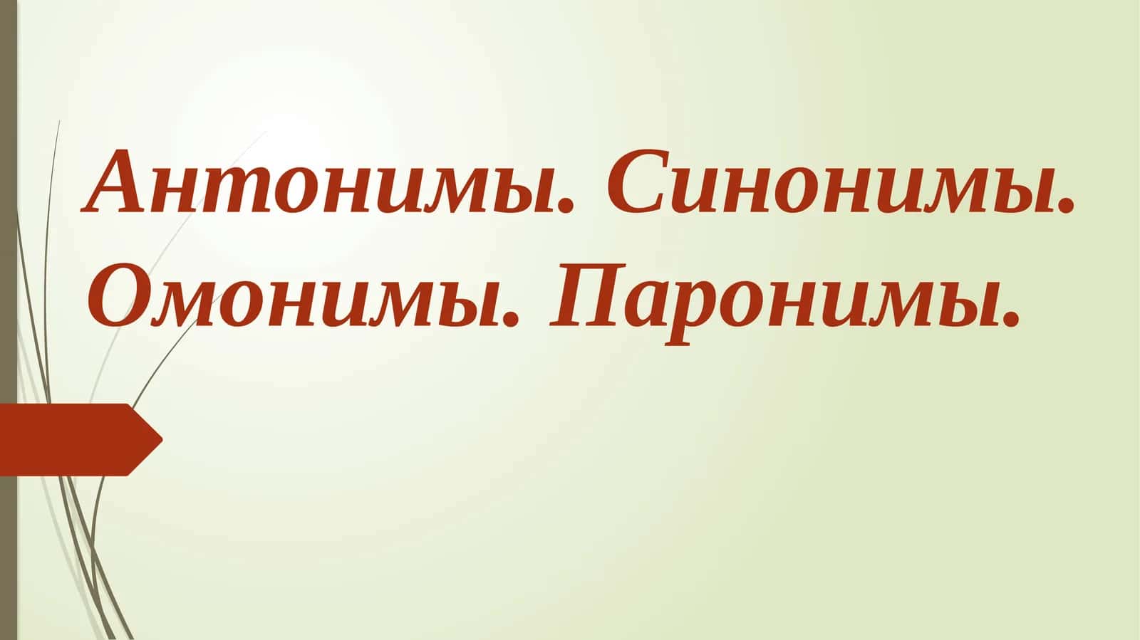 Омонимия и полисемия 1