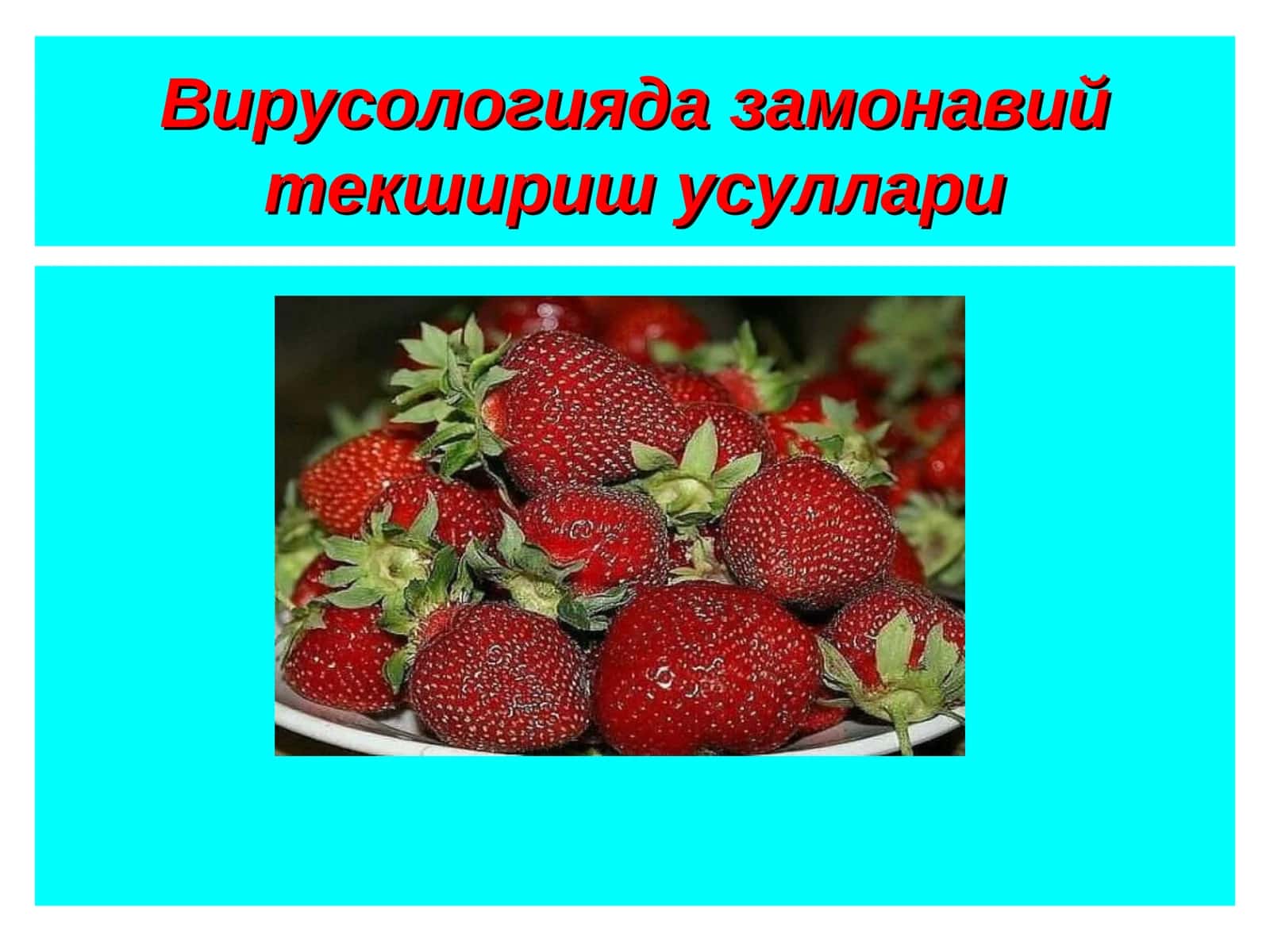 Вирус ингибиторлари 1