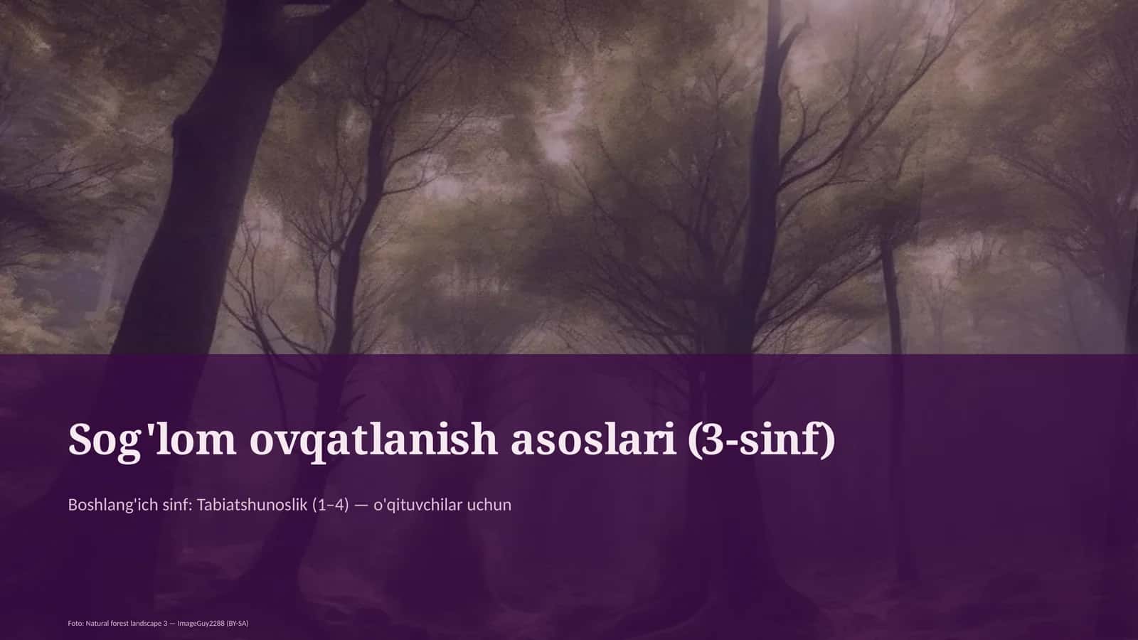 Sog'lom ovqatlanish asoslari (3-sinf) 1