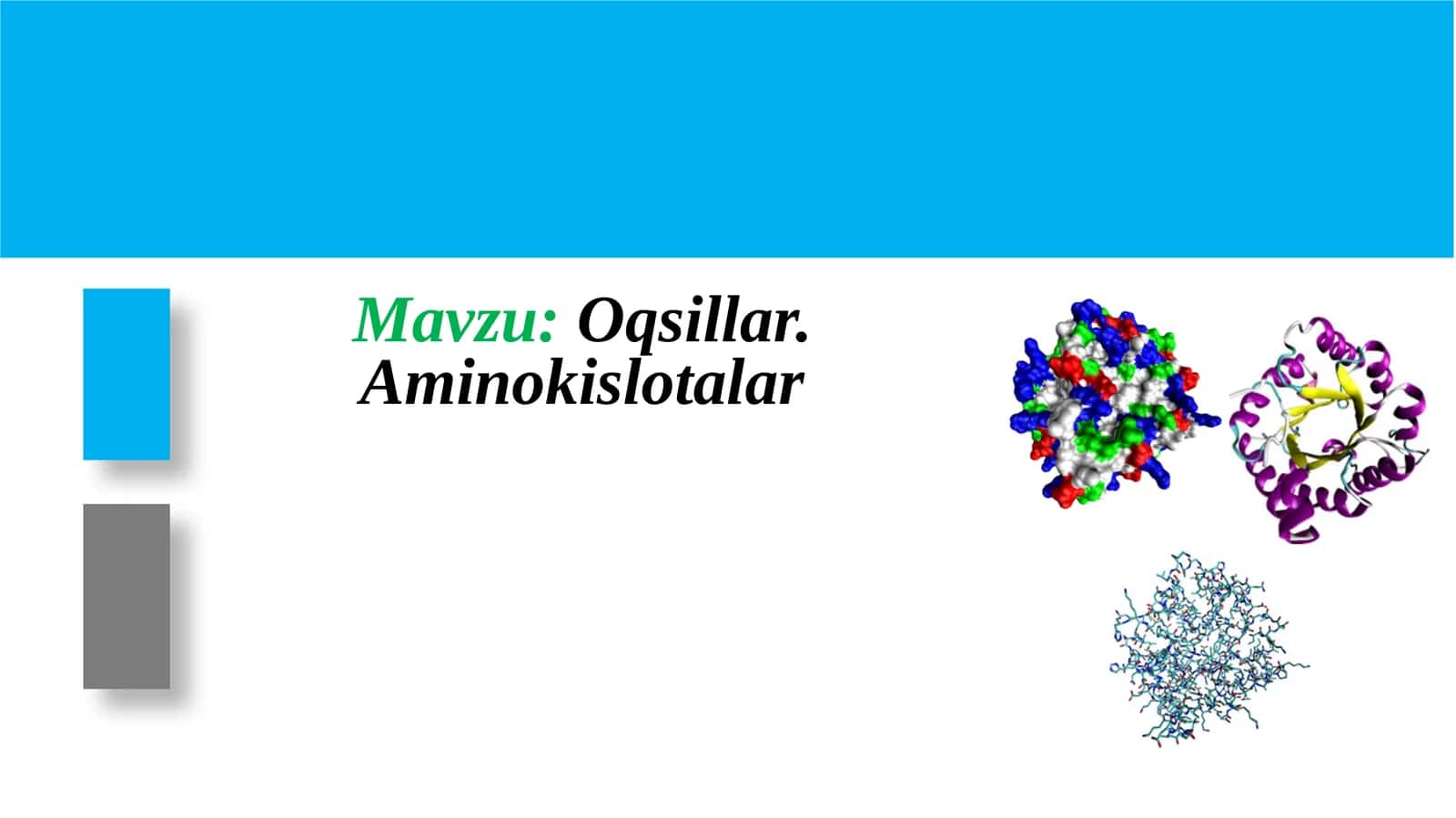 Oqsillar. Aminokislotalar 1