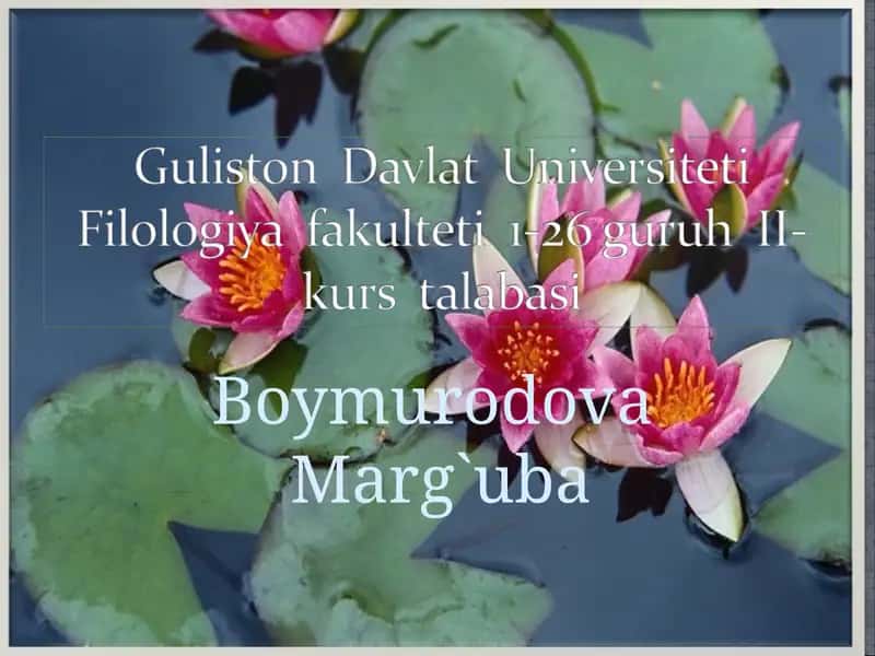 Alisher Navoiy – ruboiynavis 1