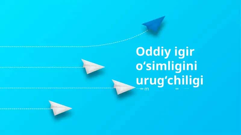 Oddiy igir oʻsimligini urugʻchiligi 1