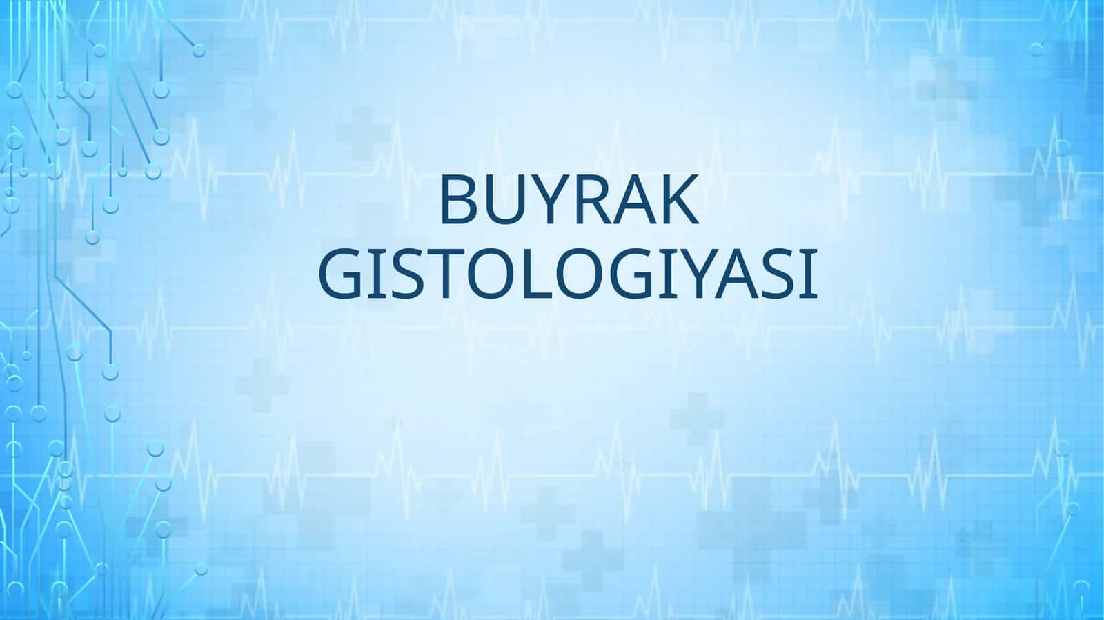 BUYRAK GISTOLOGIYASI 1