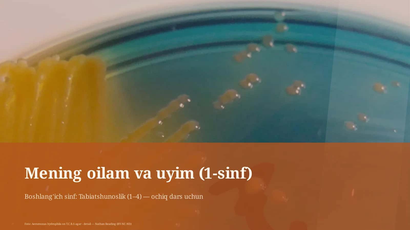 Mening oilam va uyim (1-sinf) 1