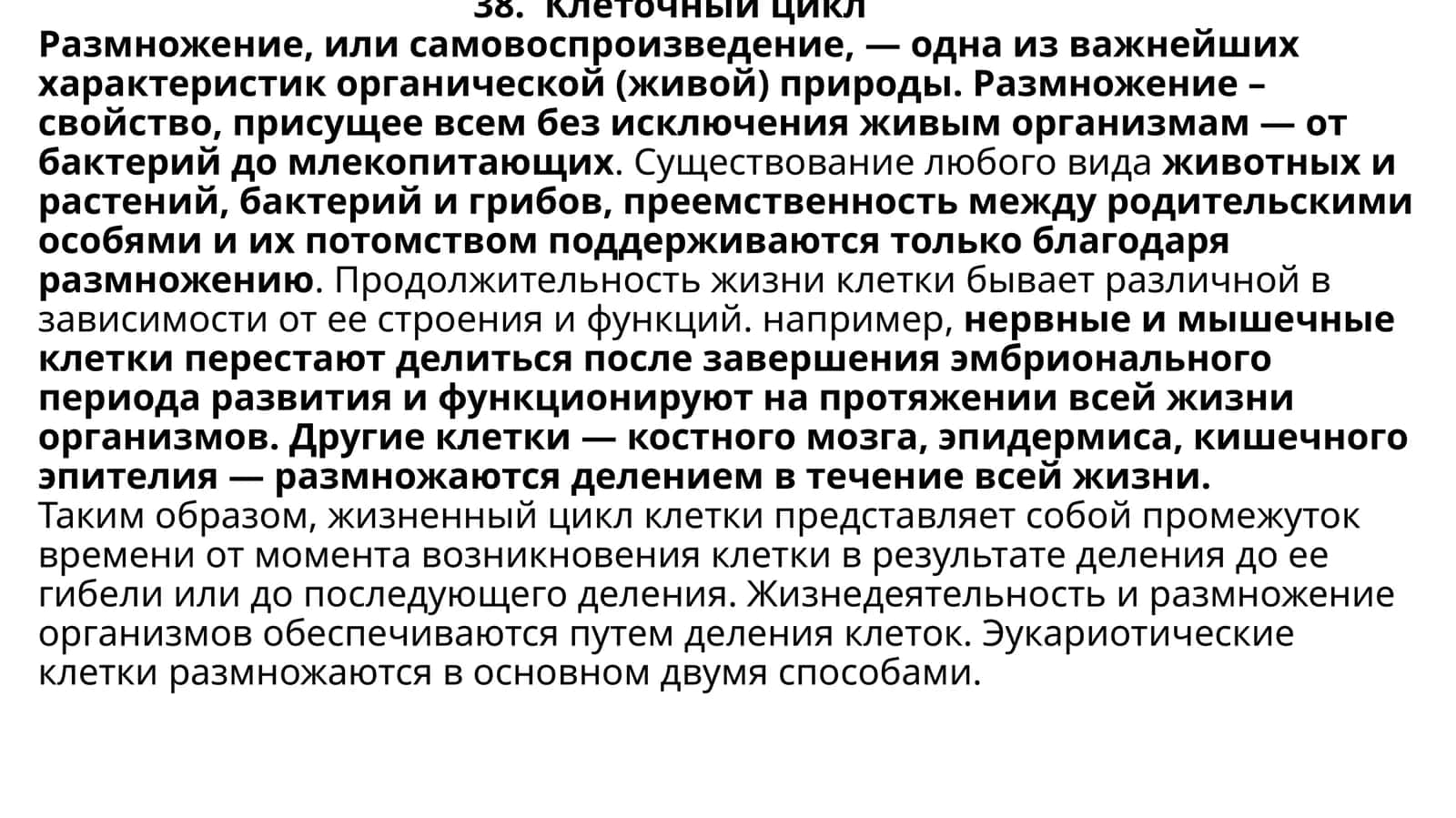 Клеточный цикл 1